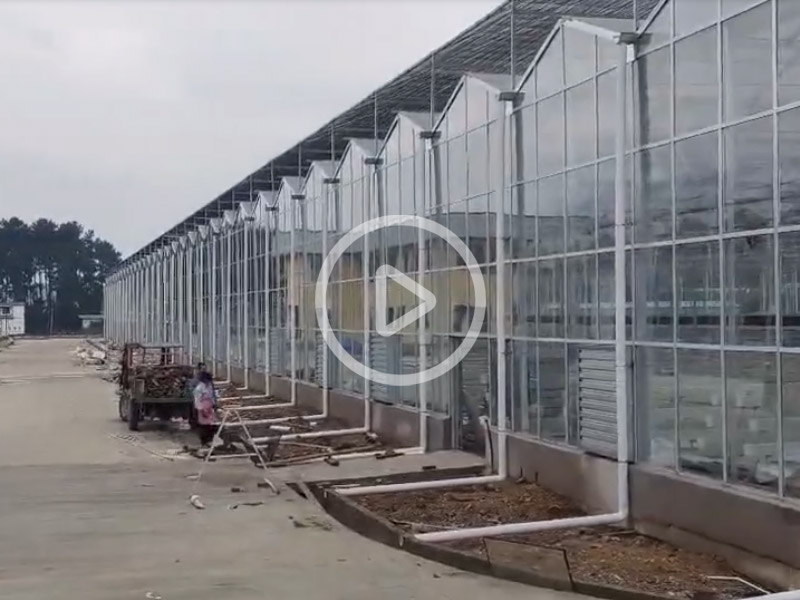 玻璃温室建造现场