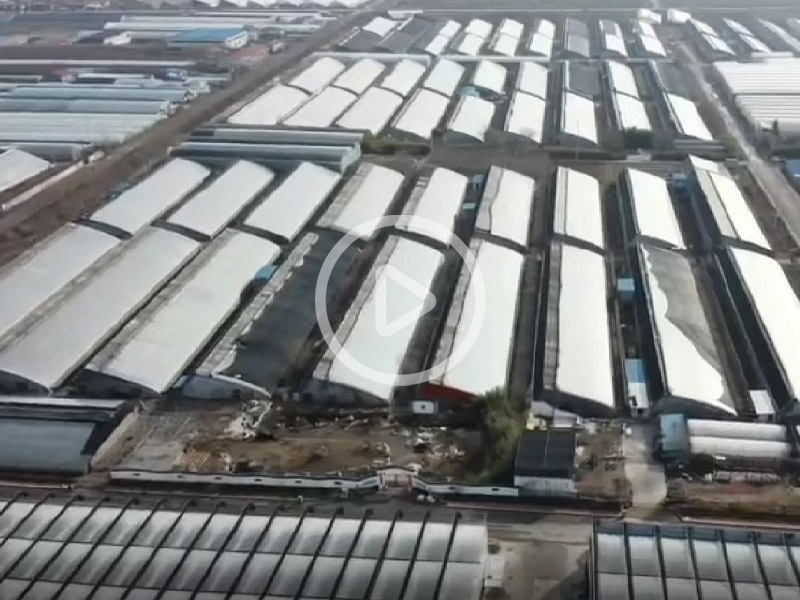 玻璃温室建造现场