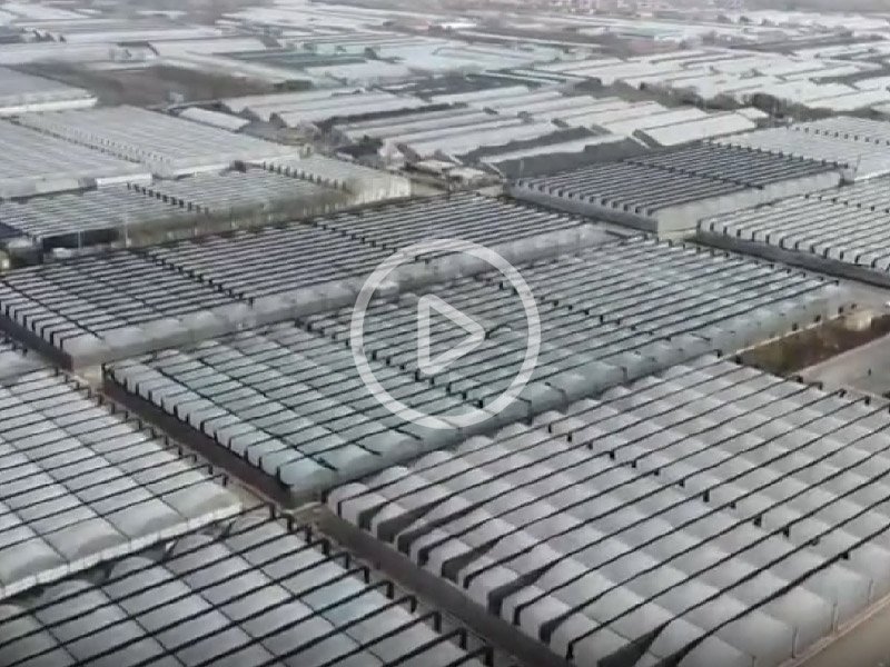 温室大棚建造现场