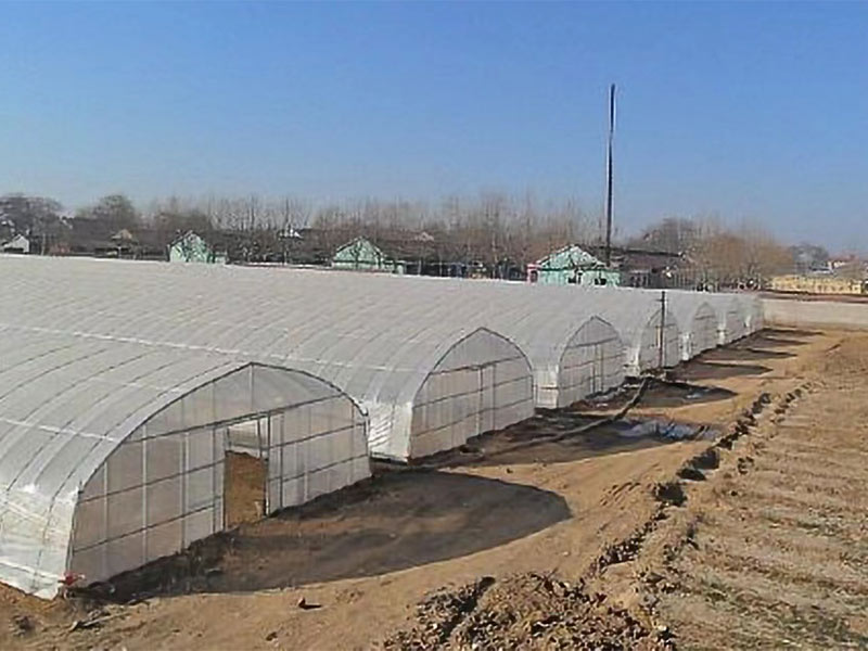 蔬菜大棚建设对光照条件的选择