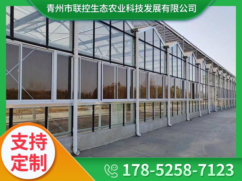 蔬菜大棚建设需考虑的基本条件
